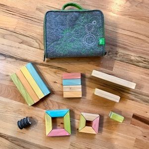 Tegu Magnetic Blocks Set